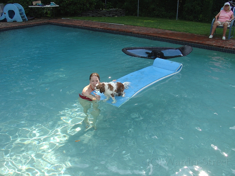 Sampson and Delilah Swimming 003.jpg